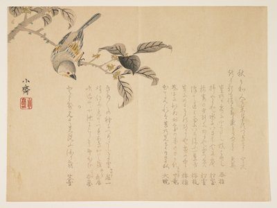 Oiseau sur une branche - Tanomura Shsai